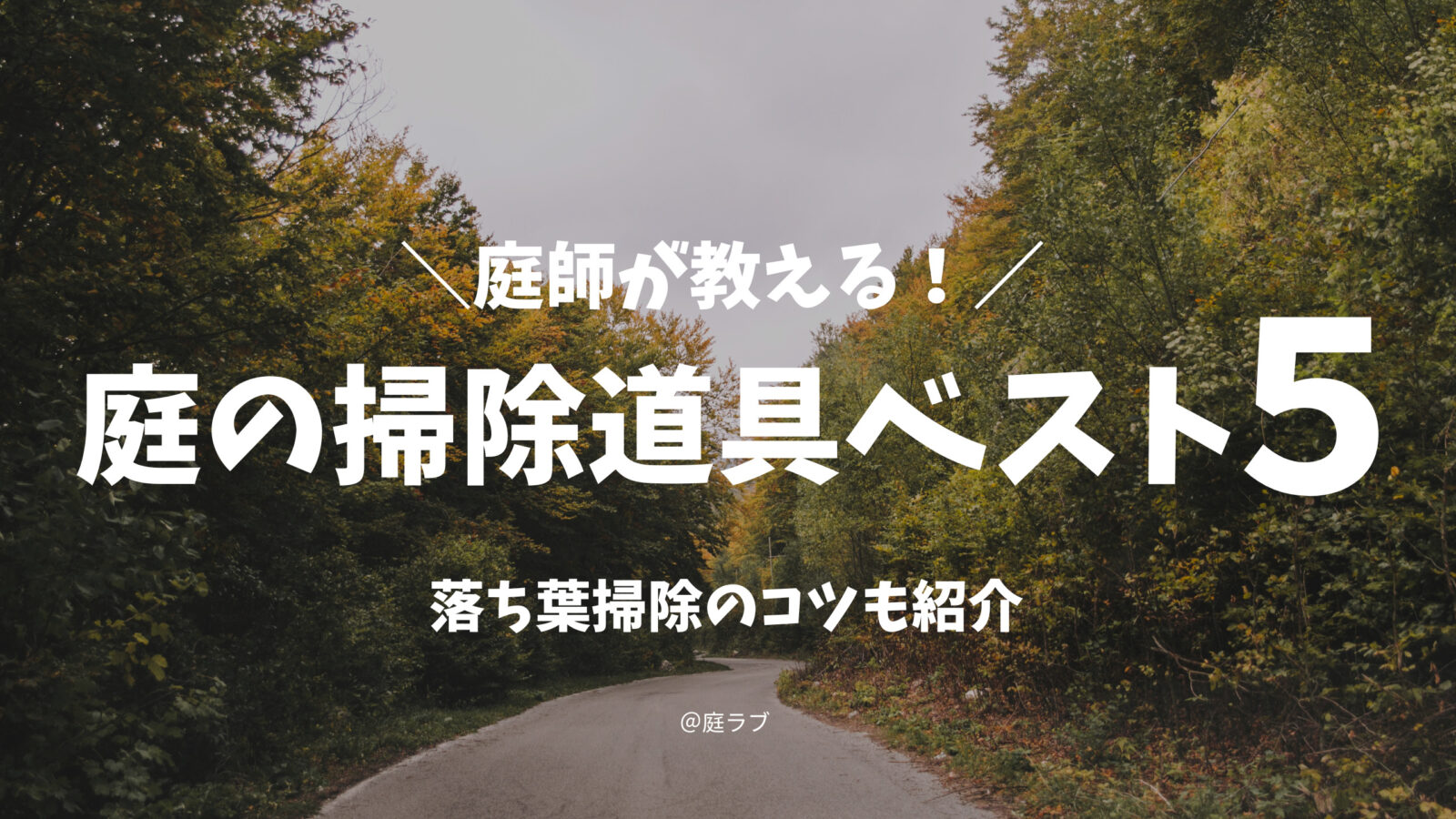 庭師が教える おすすめの庭の掃除道具ランキング 落ち葉を集めるコツも解説 庭ラブ